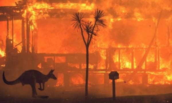 অস্ট্রেলিয়ায় দাবানলে পুড়ছে ১০ হাজার হেক্টর জমি