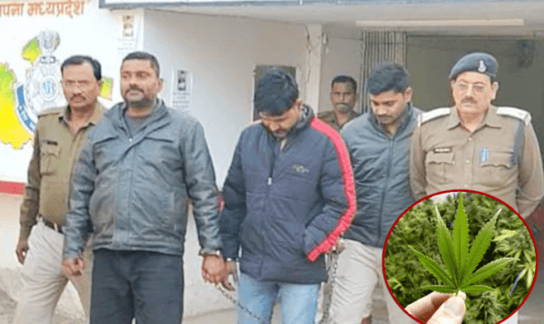 ভারতে ৪৬ কেজি গাঁজাসহ মন্ত্রীর ভাই গ্রেপ্তার