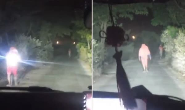 কুষ্টিয়ার ভেড়ামারায় প্রাইভেটকার থামিয়ে ডাকাতি