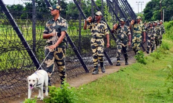 কুকুর কেন গর্ভবতী! বিপাকে বিএসএফ!