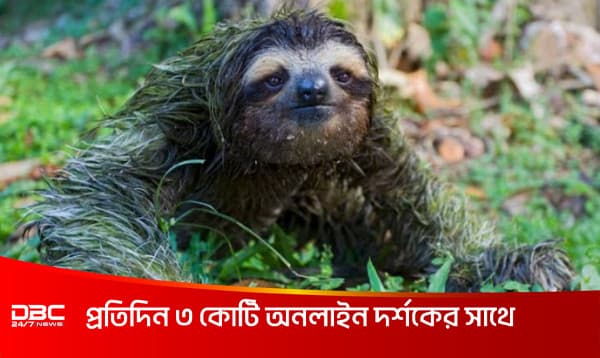 মলত্যাগ করতে গিয়ে মৃত্যু হয় যাদের