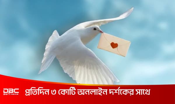 প্রাচীনকালে পায়রাকে দিয়েই কেন চিঠি পাঠানো হতো?