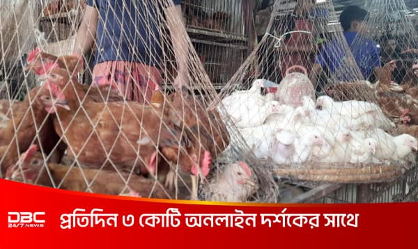 Broiler chicken being sold at Tk 200/210 per kg