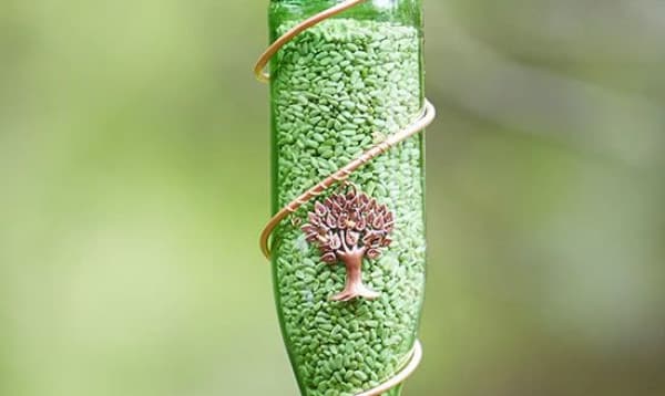 ‘বৈয়ম পাখি’ বলতে আসলে কী বোঝায়?