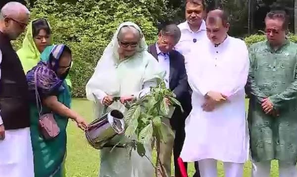 Environment Day: PM urges all to plant at least 3 saplings