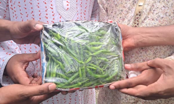 এবার বিয়েতে কাঁচা মরিচ উপহার