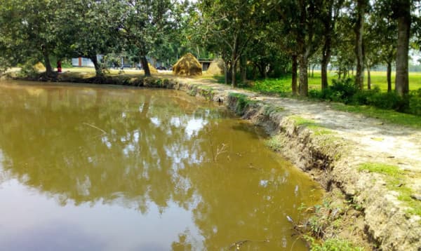 জমজ দুই ভাইয়ের এক সাথে জন্ম, এক সাথেই মৃত্যু