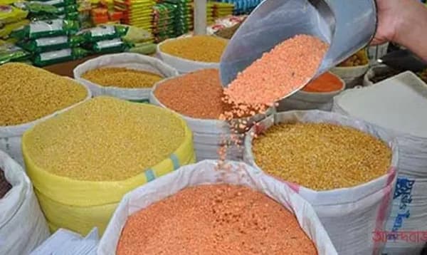 বাজারে এবার বাড়ল সব ধরনের ডালের দাম